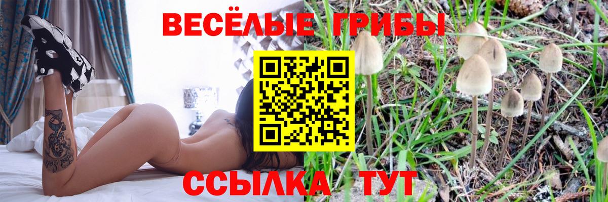 Галлюциногенные грибы прущие грибы  Галлюциногенные грибы Psilocybine cubensis  Вход с VPN  магазин продажи   Кувандык 